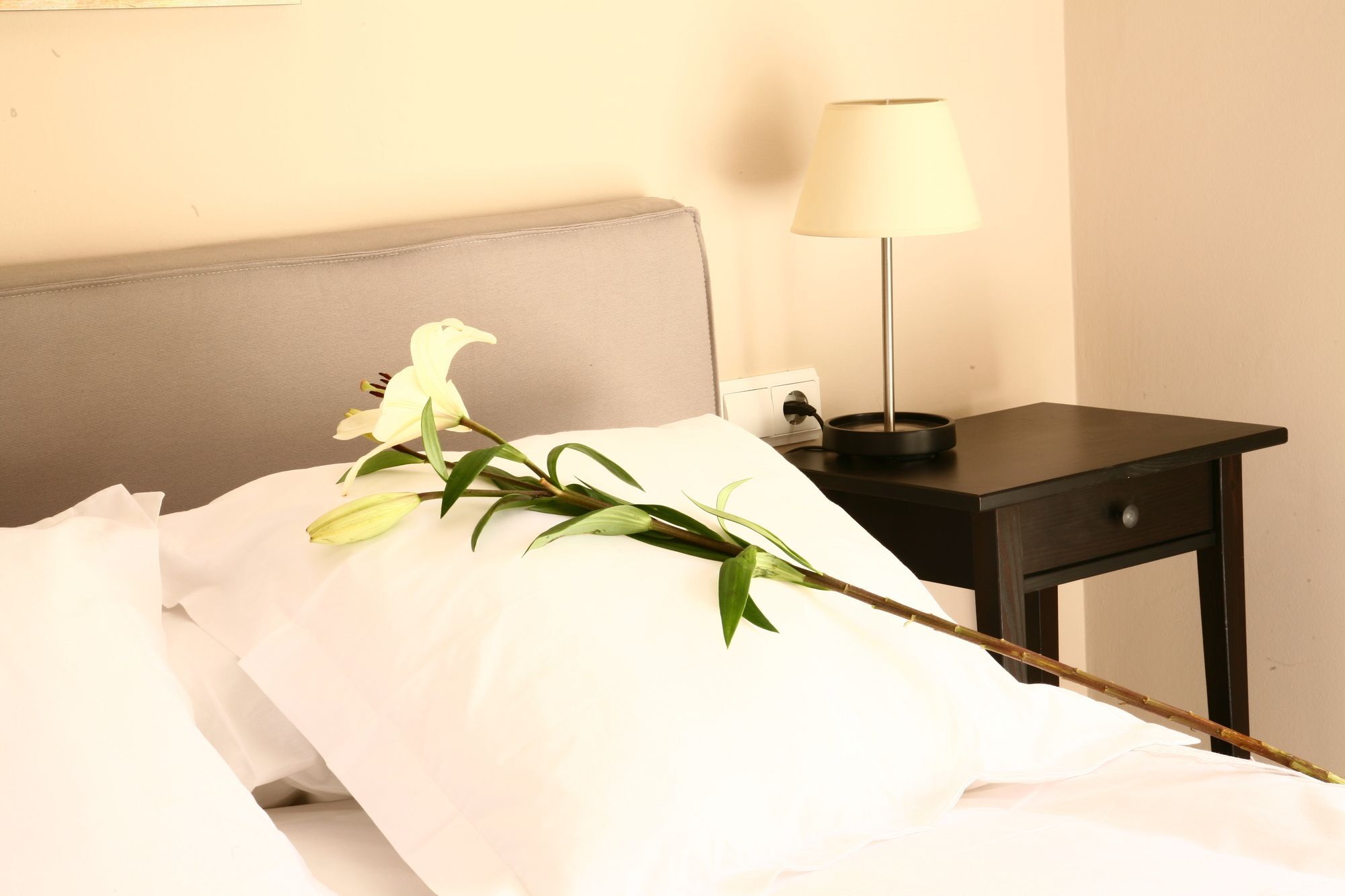 Amparo Cinco Apartman Córdoba Kültér fotó