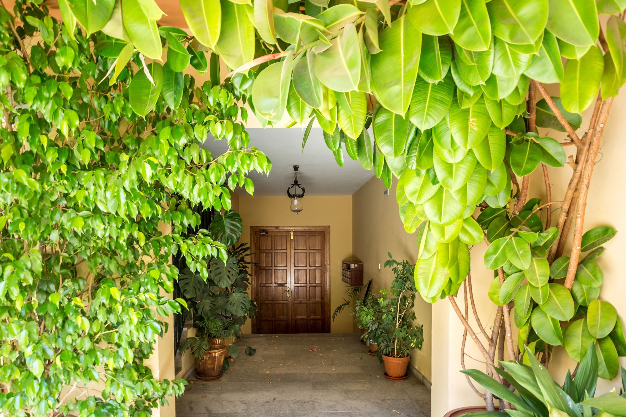 Amparo Cinco Apartman Córdoba Kültér fotó